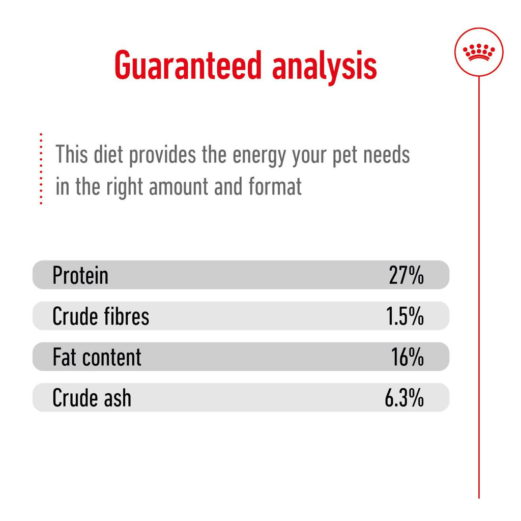 Royal Canin mini Adult 8+ Dry Dog Food