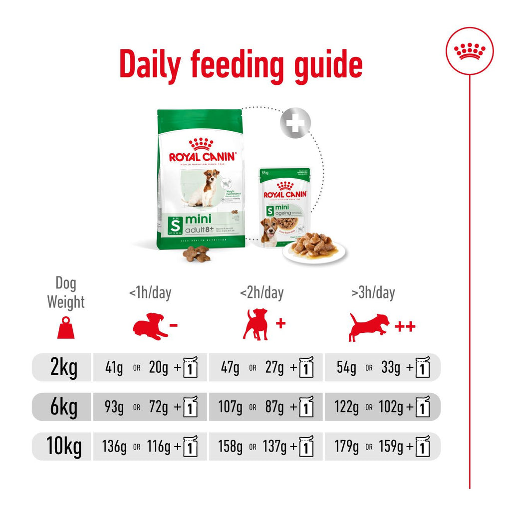 Royal Canin mini Adult 8+ Dry Dog Food
