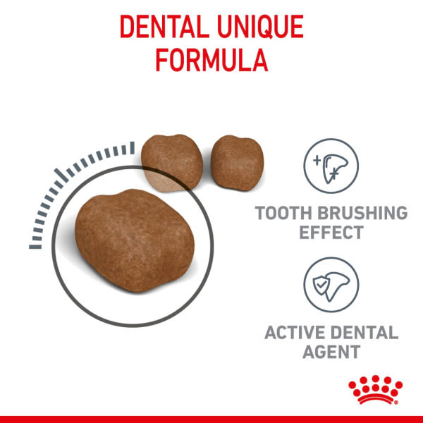 Royal Canin Dental Care Adult Dry Cat Food