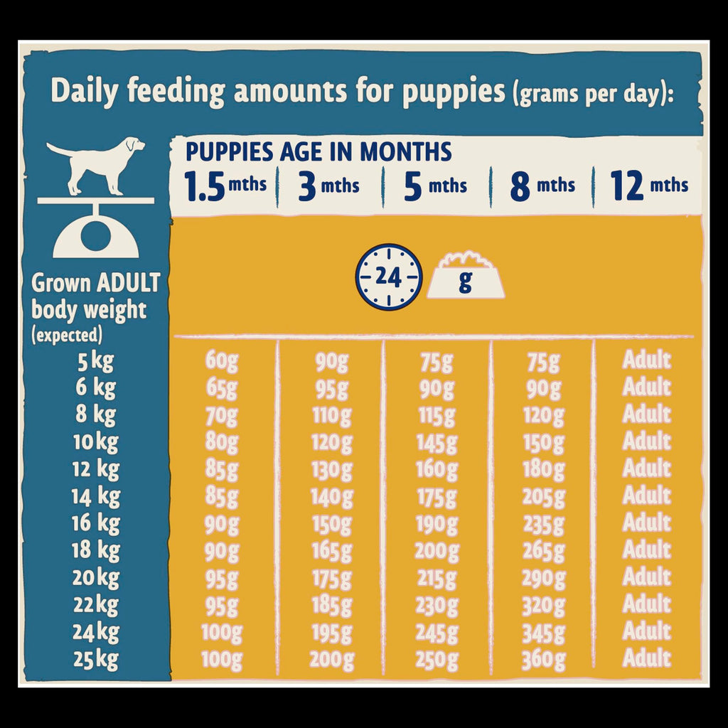 BETA Puppy Dry Dog Food Chicken