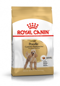 Royal Canin Poodle Adult Dry Dog Food