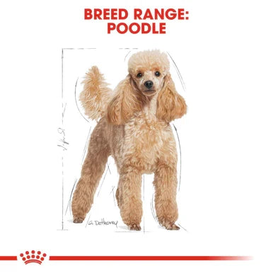 Royal Canin Poodle Adult Dry Dog Food