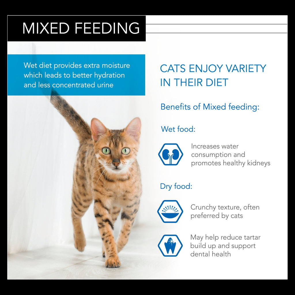 Pro Plan NutriSavour Kitten Turkey