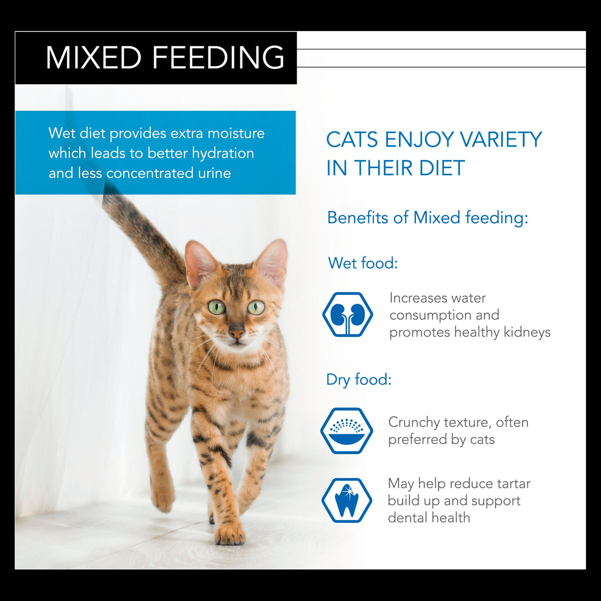 Pro Plan NutriSavour Kitten Turkey