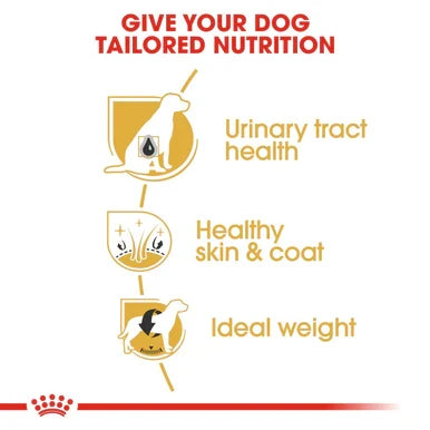 Royal Canin Bichon Frise Adult Dry Dog Food
