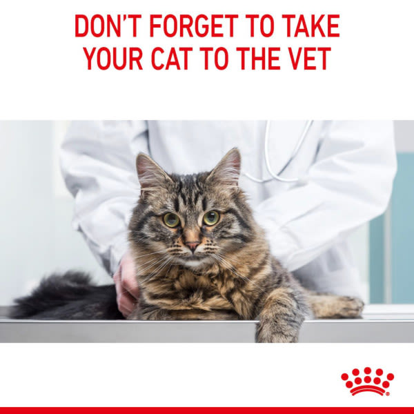 Royal Canin Ultra Light Weight Care Adult Cat Wet Food - Gravy