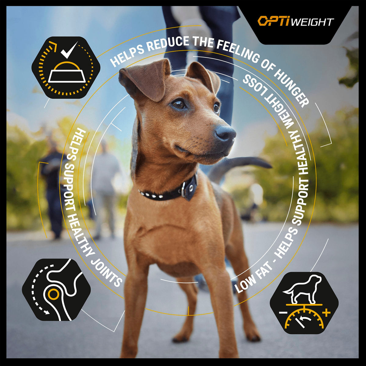 Purina Pro Plan Opti Weight Light/Sterilised Adult Dry Dog Food - Chicken