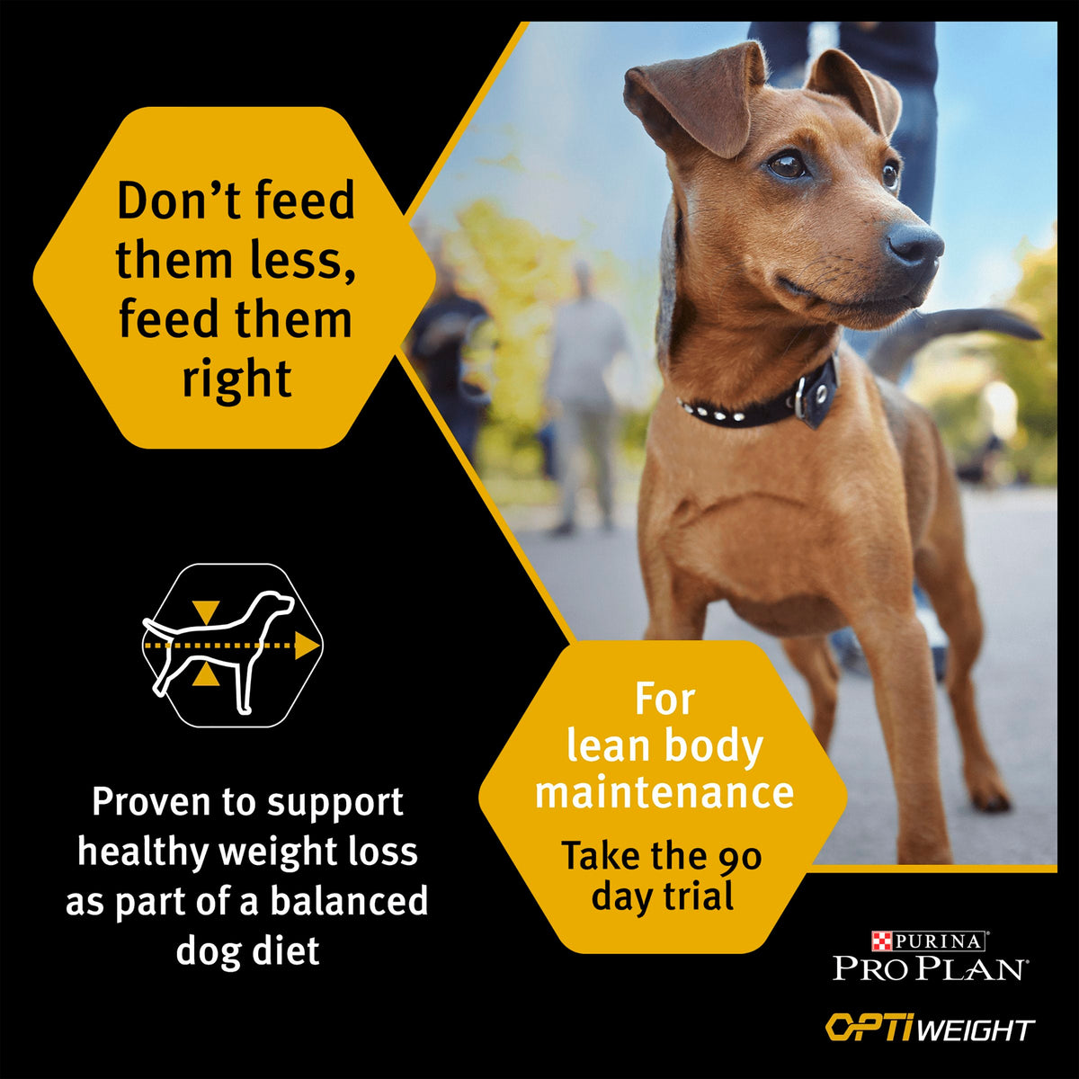 Purina Pro Plan Opti Weight Light/Sterilised Adult Dry Dog Food - Chicken