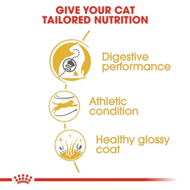Royal Canin Bengal Adult Dry Cat Food