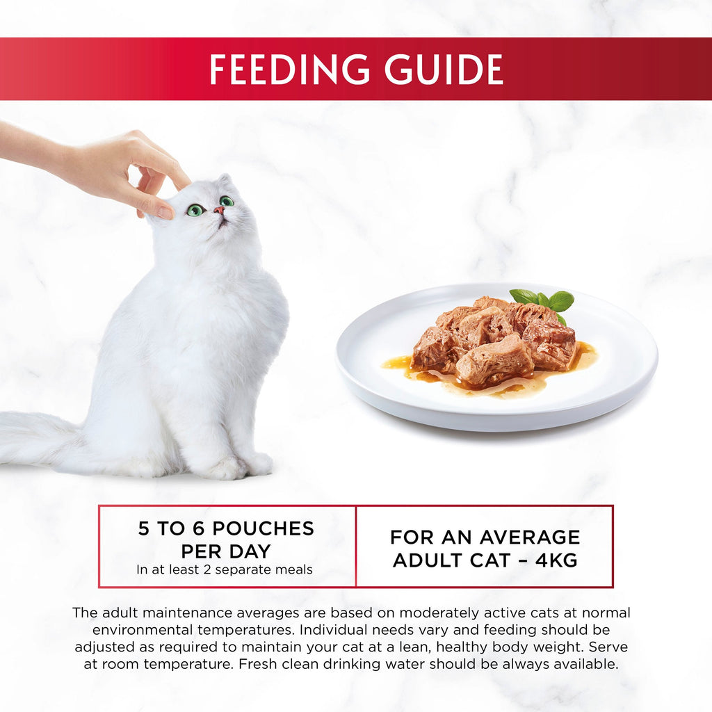Purina GOURMET Mon Petit Wet Cat Food