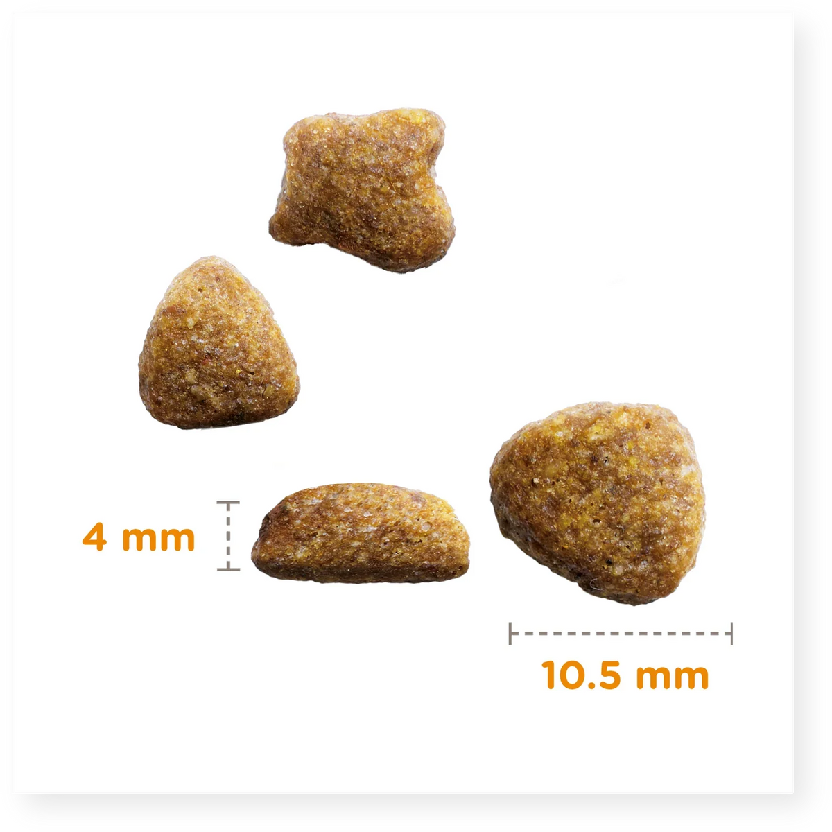 IAMS for Vitality Senior Cat Food with Ocean fish