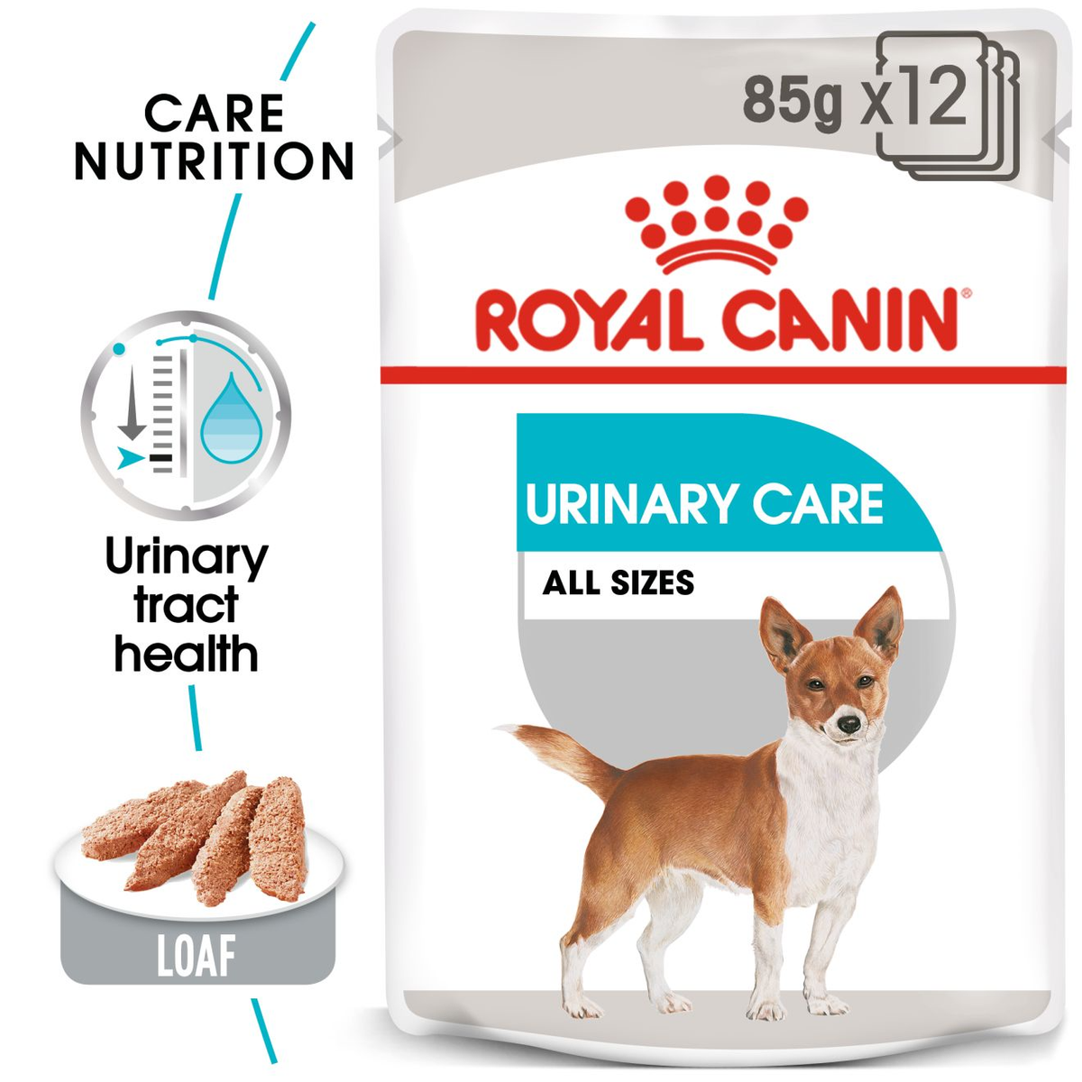Royal Canin Urinary Care Adult Wet Dog Food Pouches