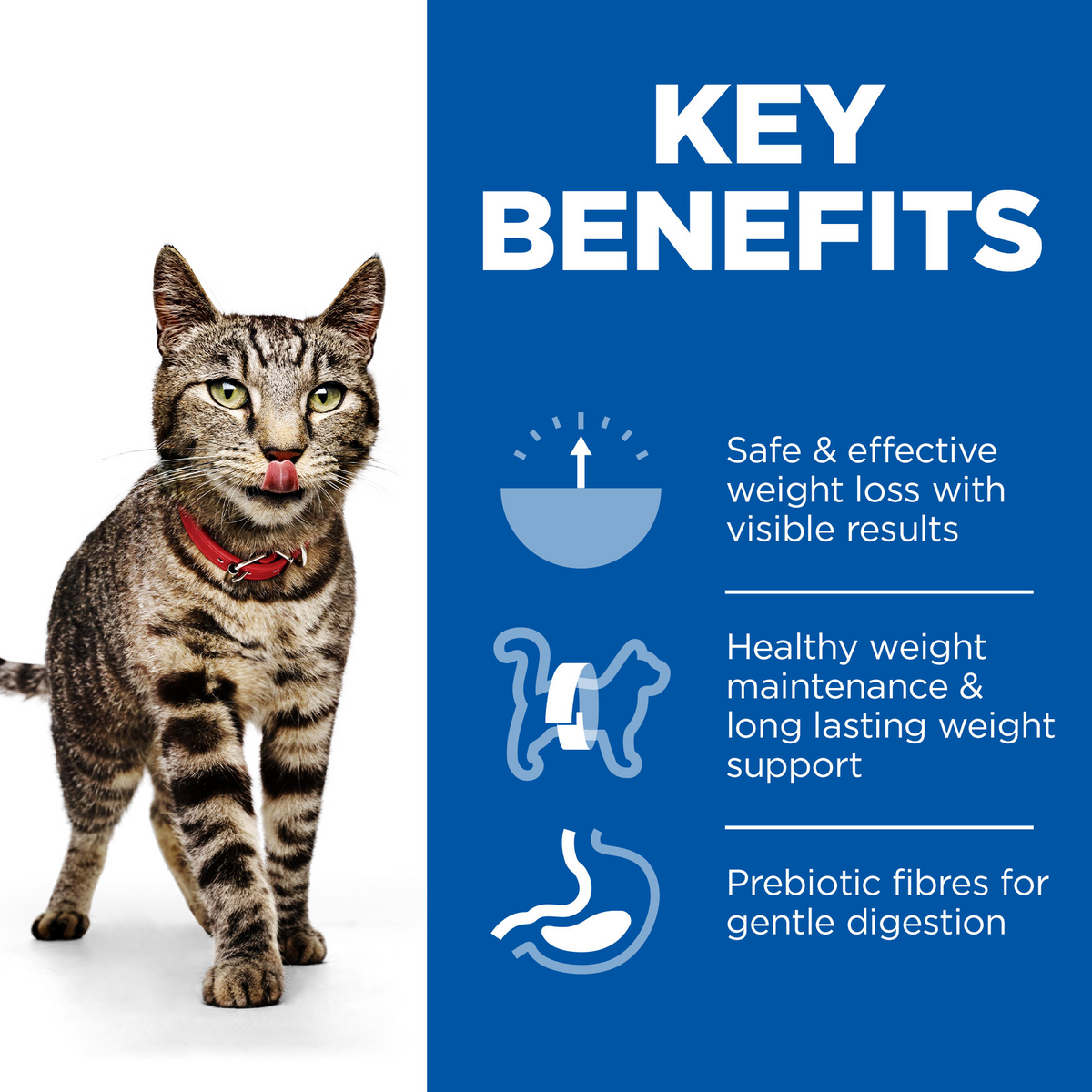 Hill's Science Plan Perfect Weight Adult 1-6 Wet Cat Food Pouches - Delicious Selection