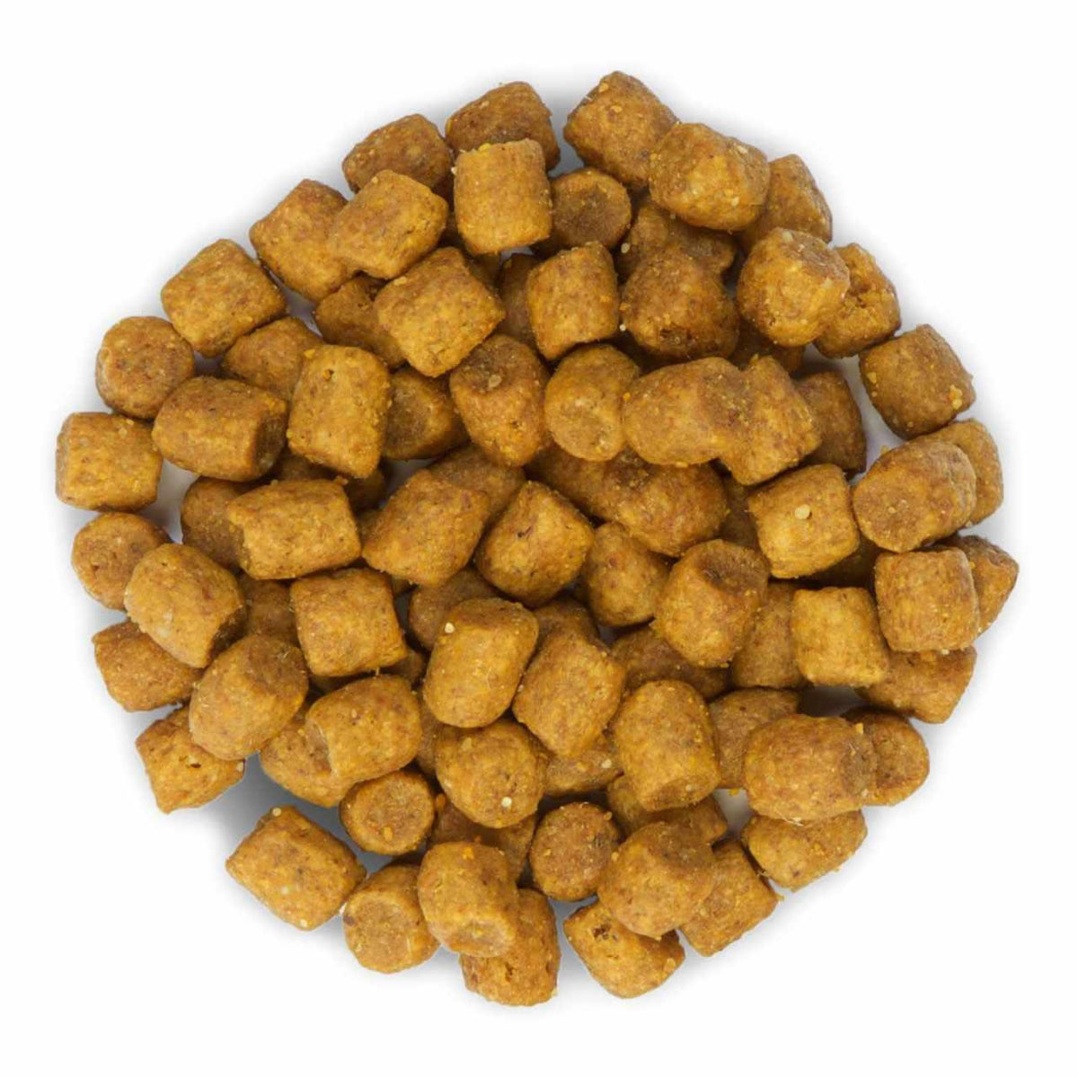 Hill's Science Plan Adult 1-6 Dry Cat Food - Lamb
