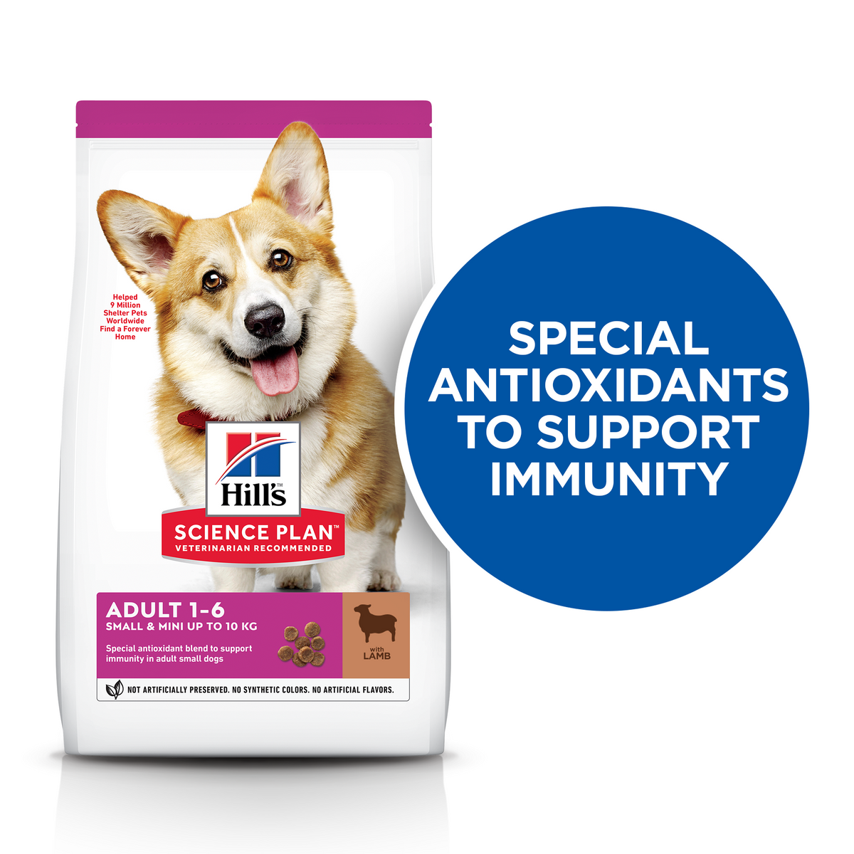 Hill's Science Plan Small & Mini Adult Dry Dog Food - Lamb & Rice