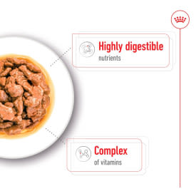Royal Canin Mini Adult Wet Dog Food