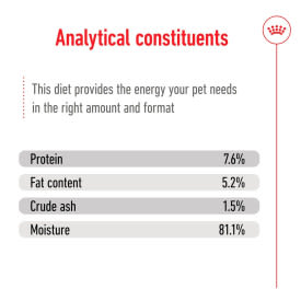 Royal Canin Mini Adult Wet Dog Food