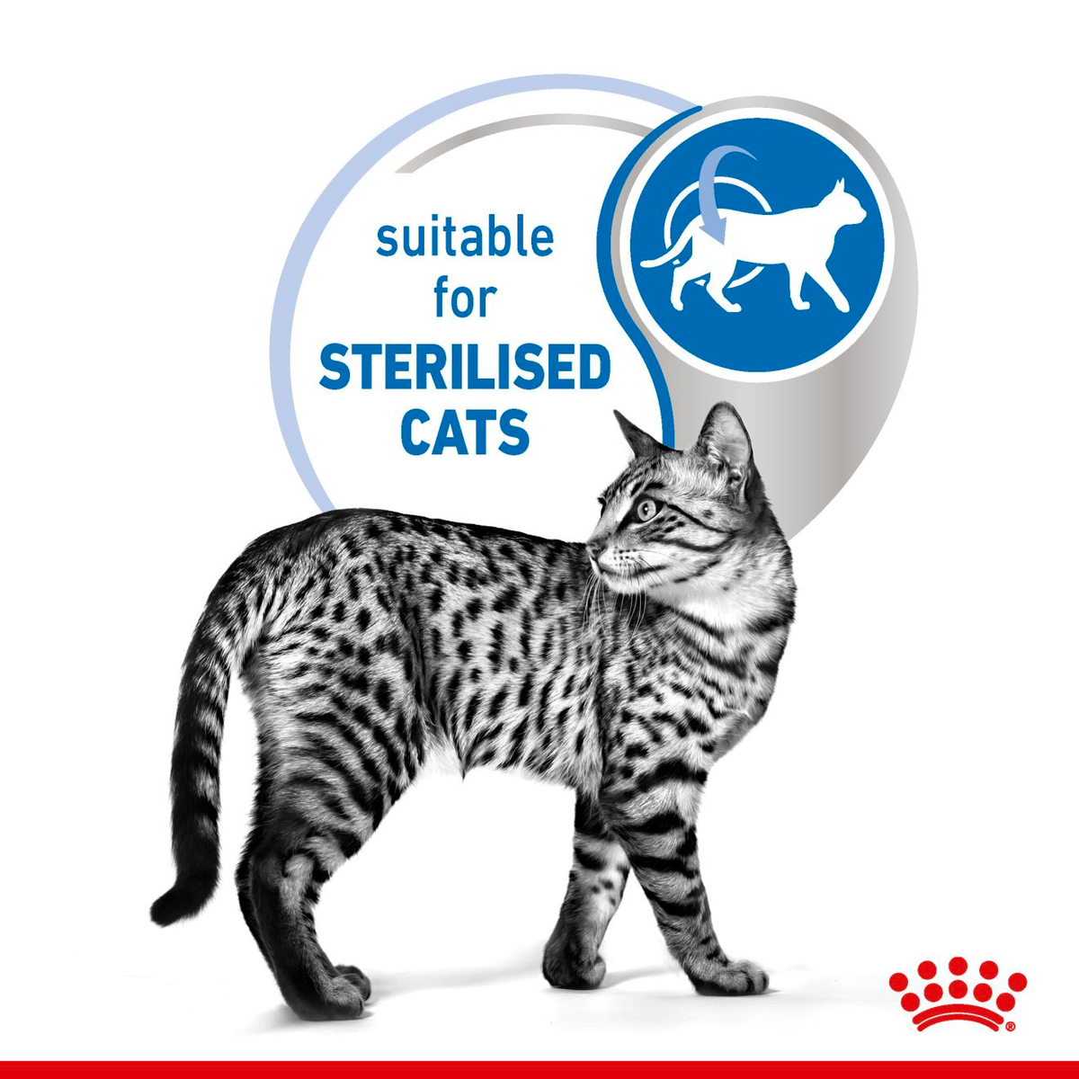 Royal Canin Indoor Adult Sterilised Cat Wet Food - Jelly