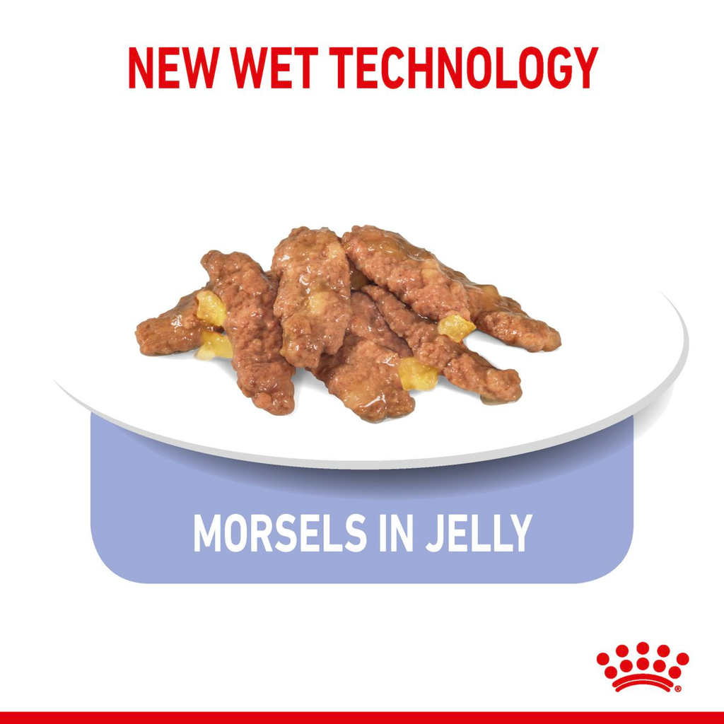 Royal Canin Indoor Adult Sterilised Cat Wet Food - Jelly