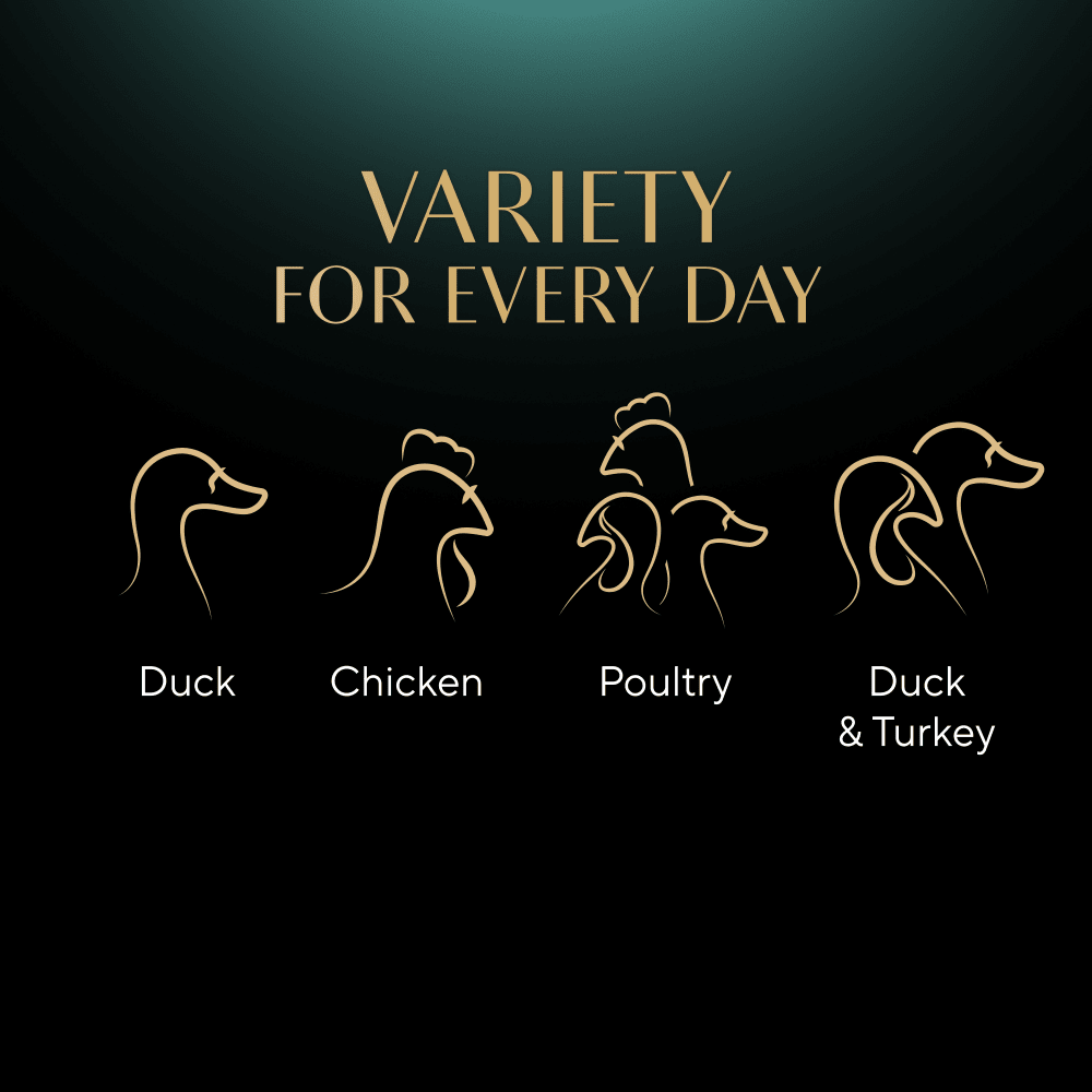 Sheba Fine Flakes Poultry Selection in Jelly
