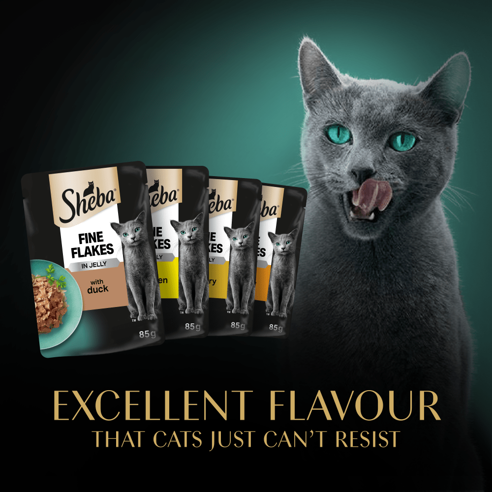 Sheba Fine Flakes Poultry Selection in Jelly