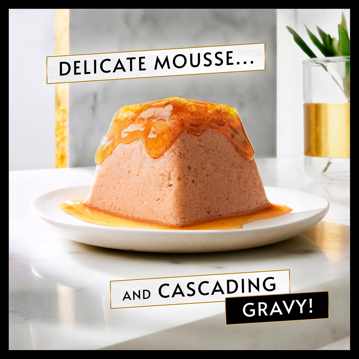 Gourmet Revelations Chicken in Gravy Wet Cat Food