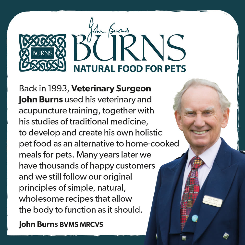 Burns Free From Adult Duck and Potato Dry Dog Food