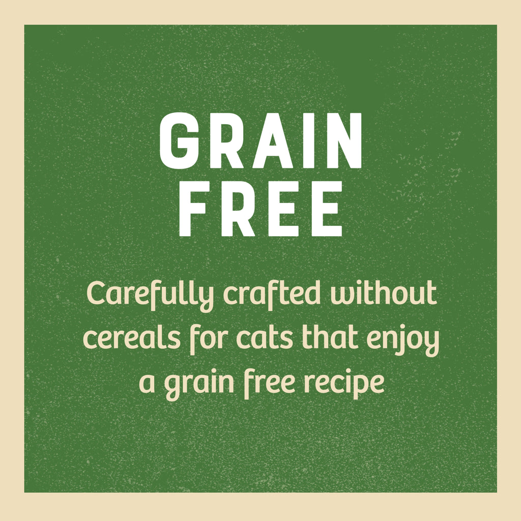 James Wellbeloved Grain Free Senior Cat Food Pouch Chicken in Jelly