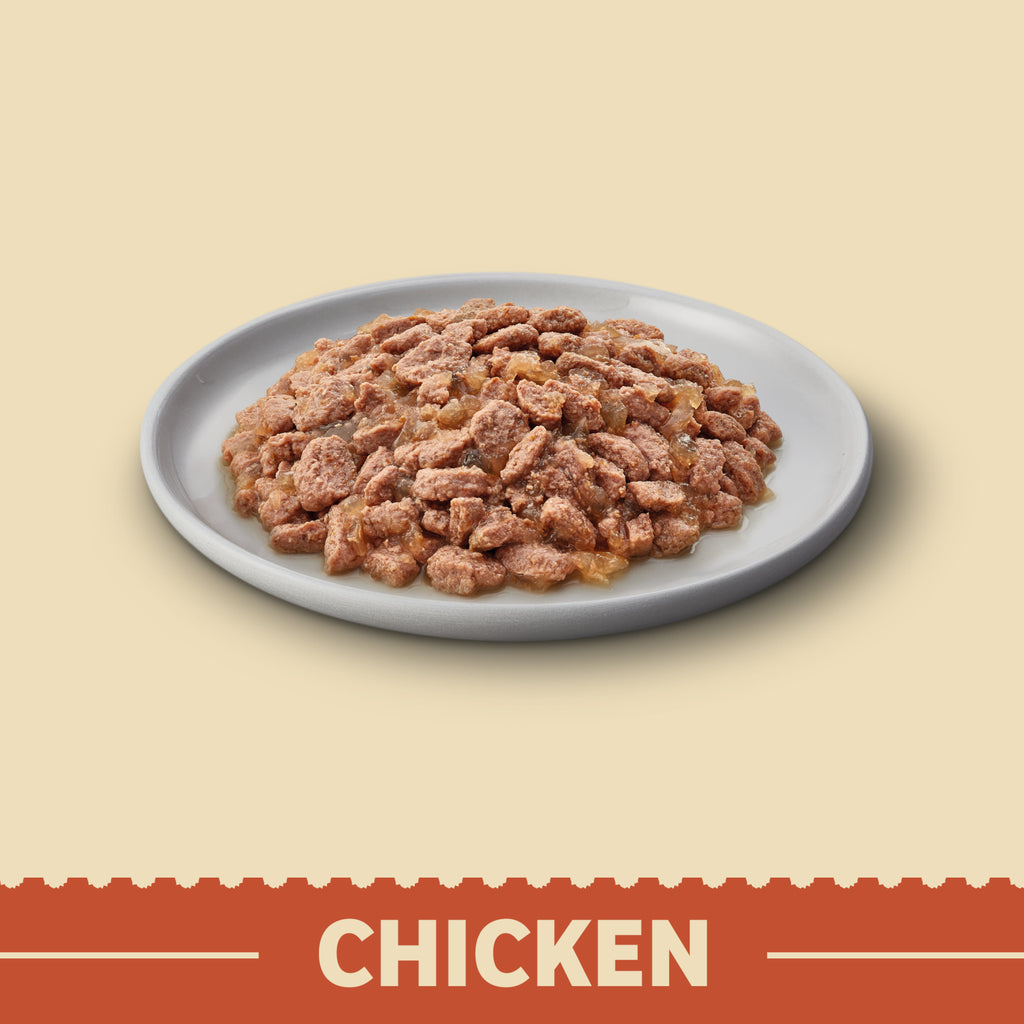 James Wellbeloved Grain Free Senior Cat Food Pouch Chicken in Jelly