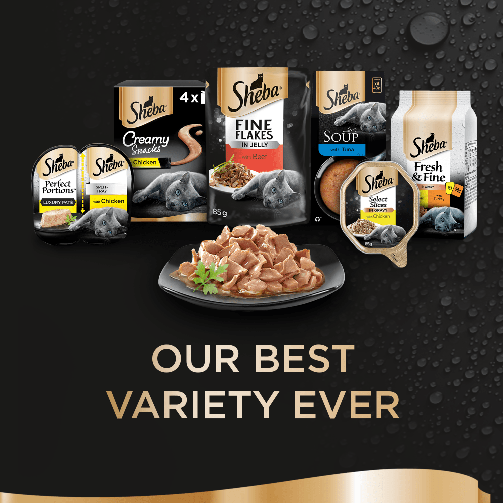 Sheba Fresh and Fine Adult Wet Cat Food Pouches - Chicken & Turkey in Gravy