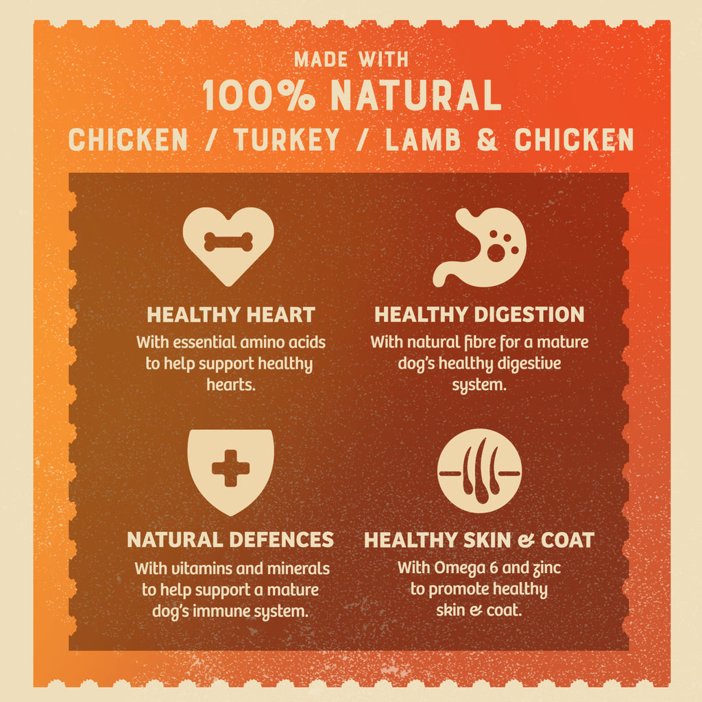 James Wellbeloved Senior Wet Dog Food Turkey, Lamb & Chicken