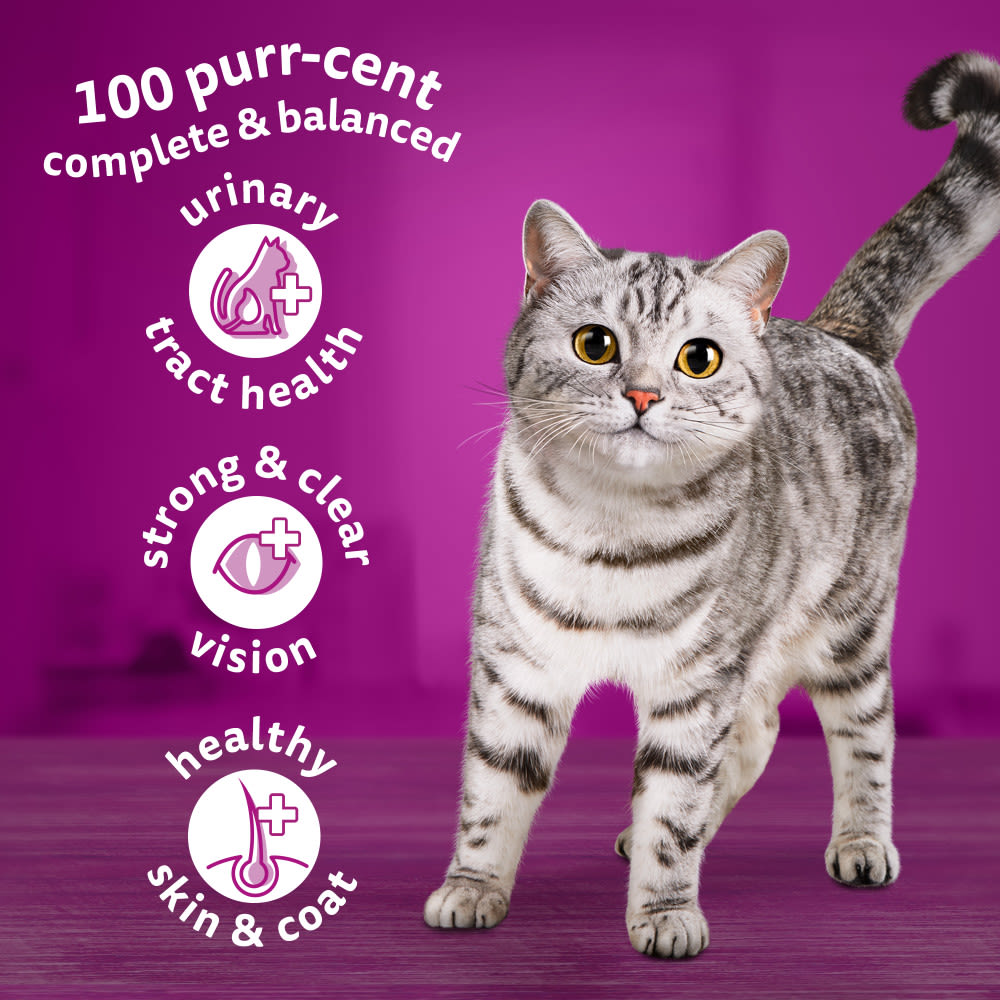 Whiskas 1+ Chicken Adult Dry Cat Food