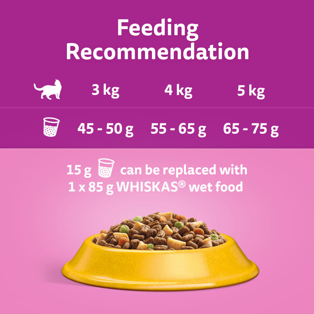 Whiskas 1+ Chicken Adult Dry Cat Food