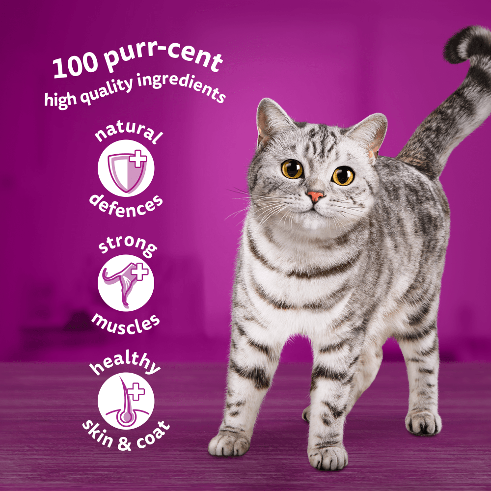 Whiskas Poultry Feasts in Jelly 1+ Adult Wet Cat Food Pouches