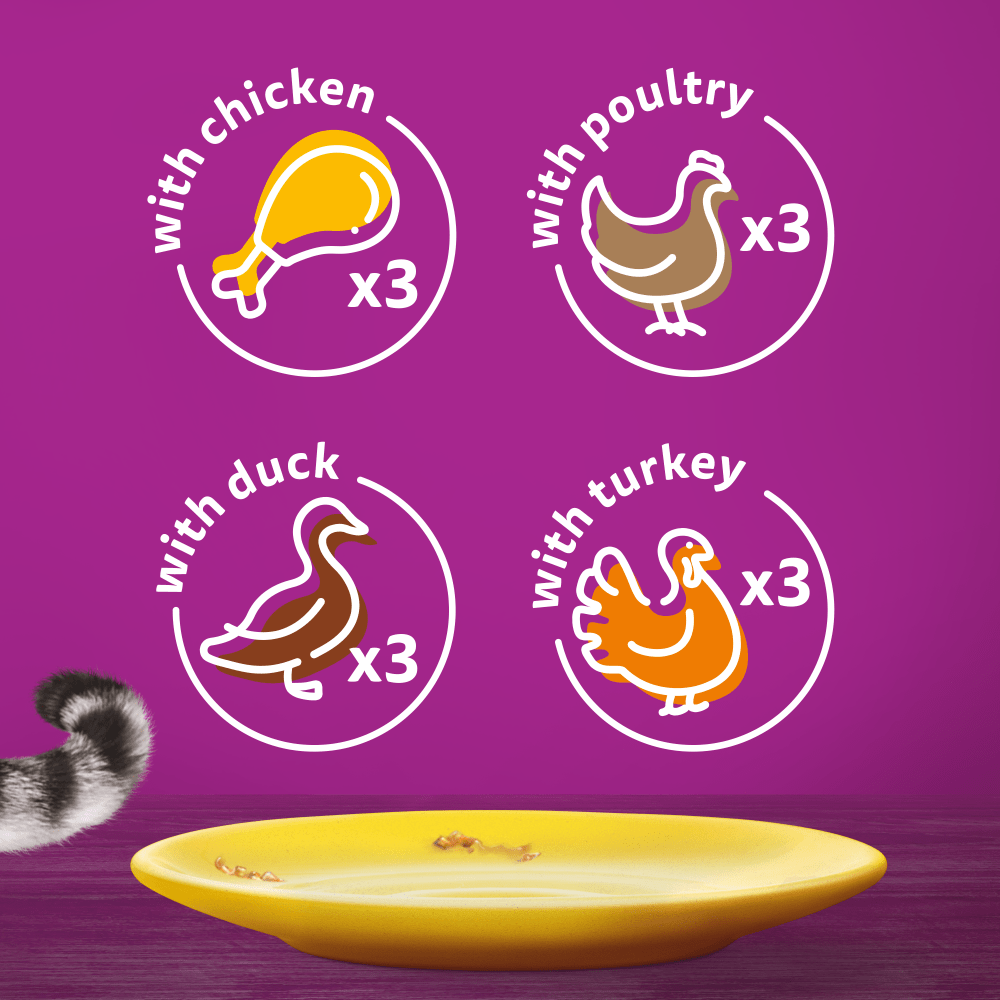 Whiskas Poultry Feasts in Jelly 1+ Adult Wet Cat Food Pouches
