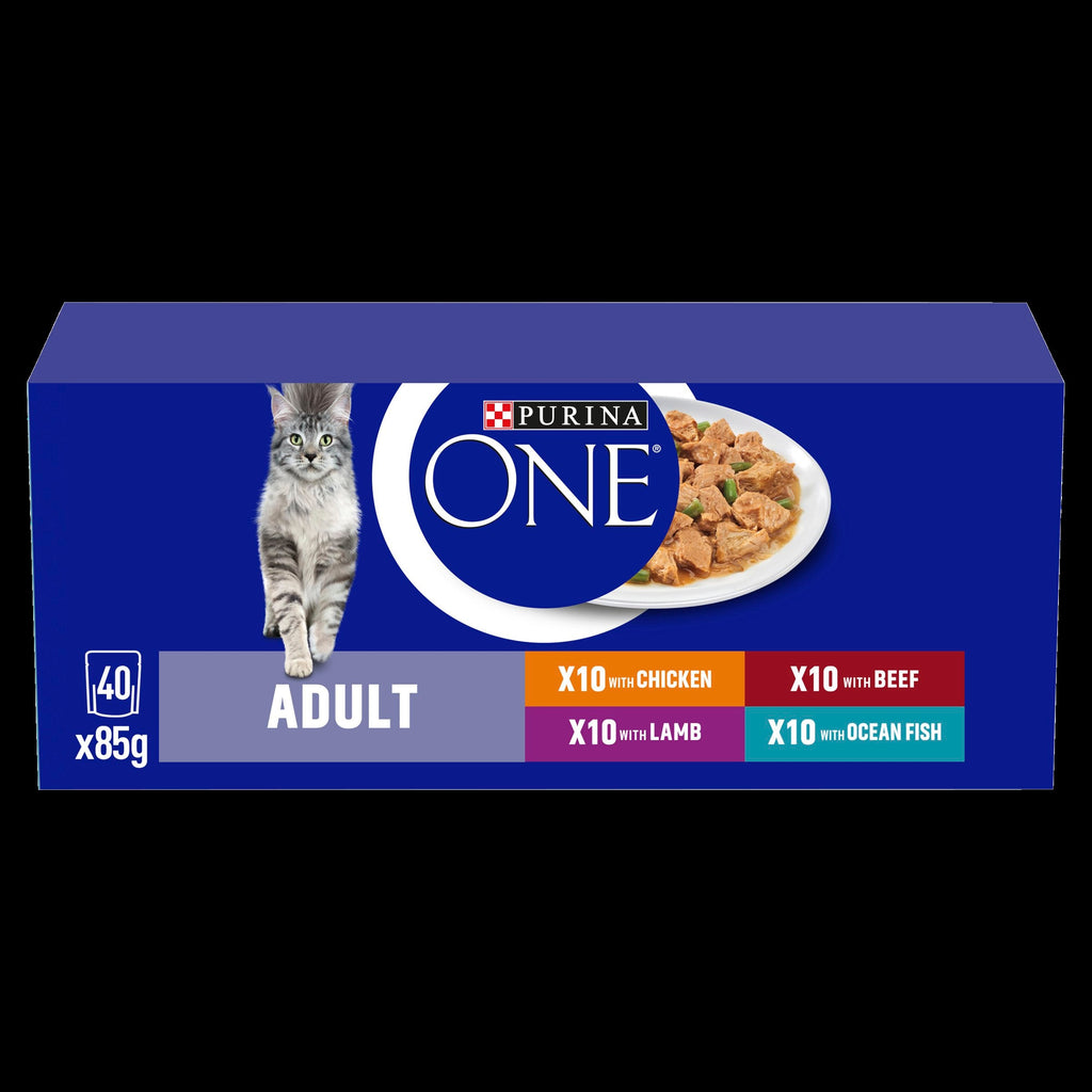 Purina One Mini Fillets Mixed Selection in Gravy Wet Cat Food