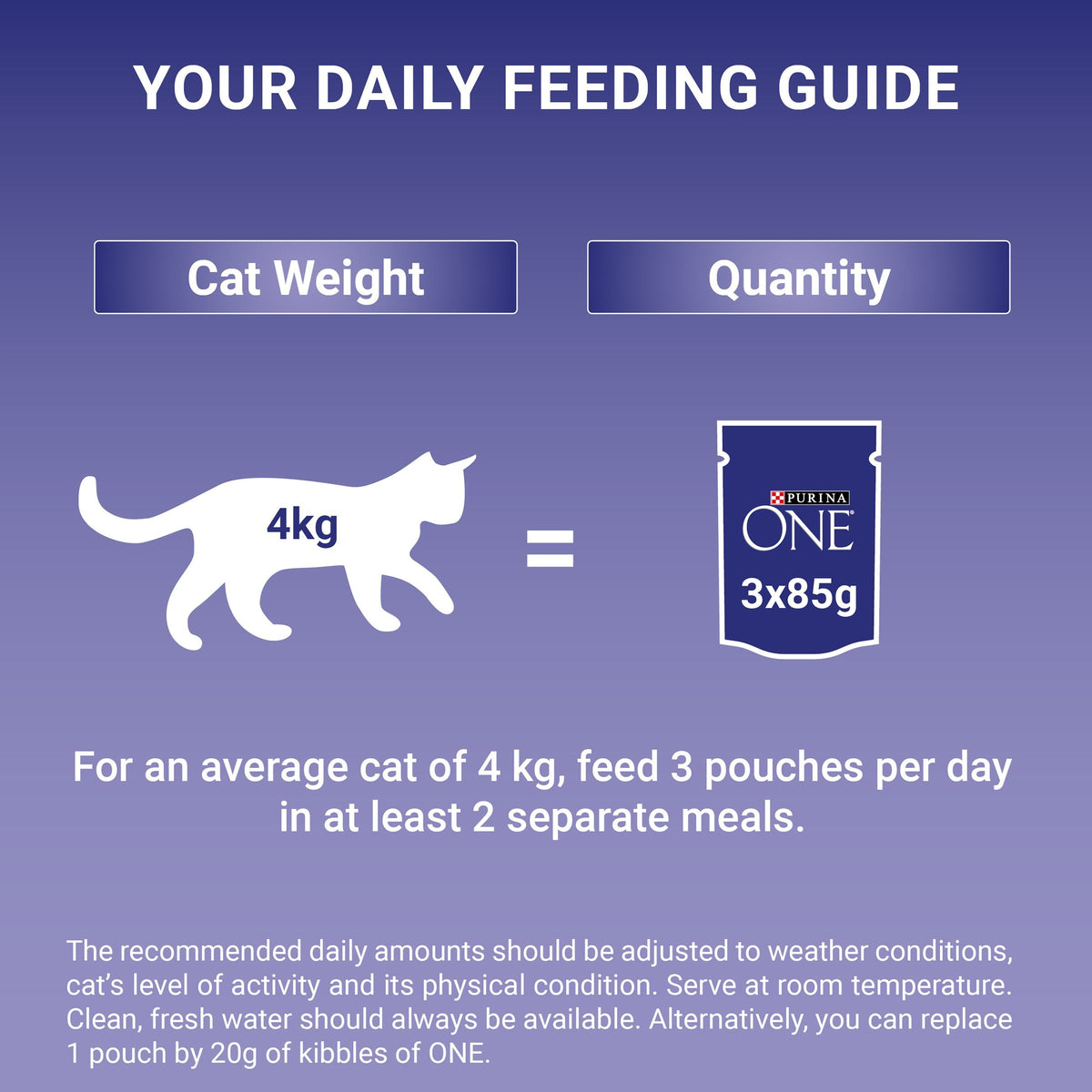 Purina One Mini Fillets Mixed Selection in Gravy Wet Cat Food