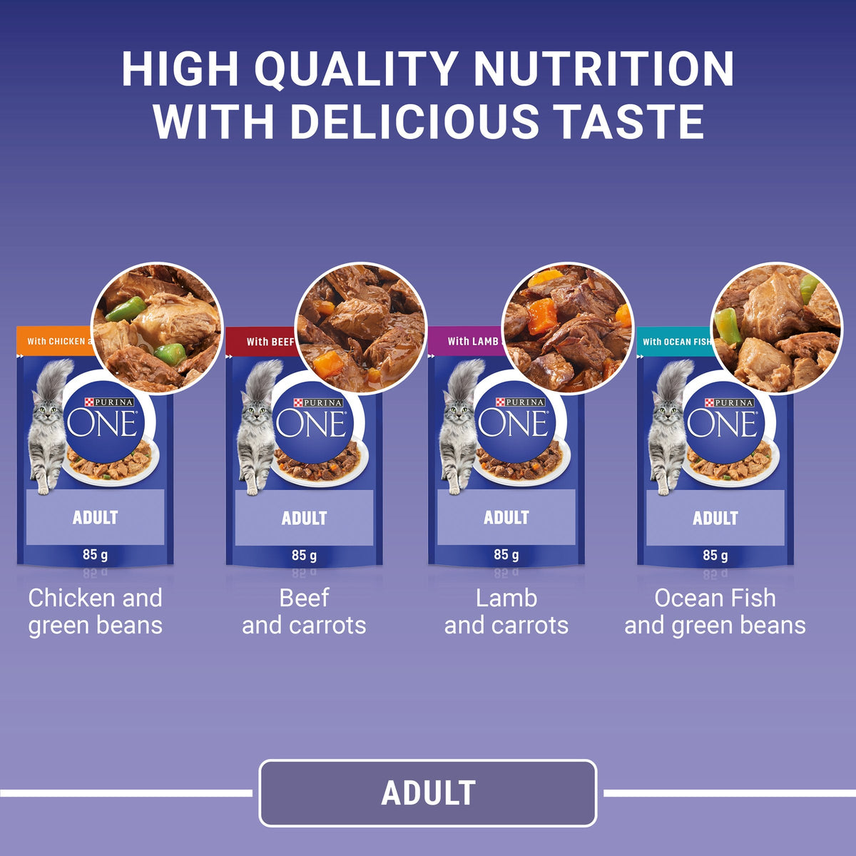 Purina One Mini Fillets Mixed Selection in Gravy Wet Cat Food