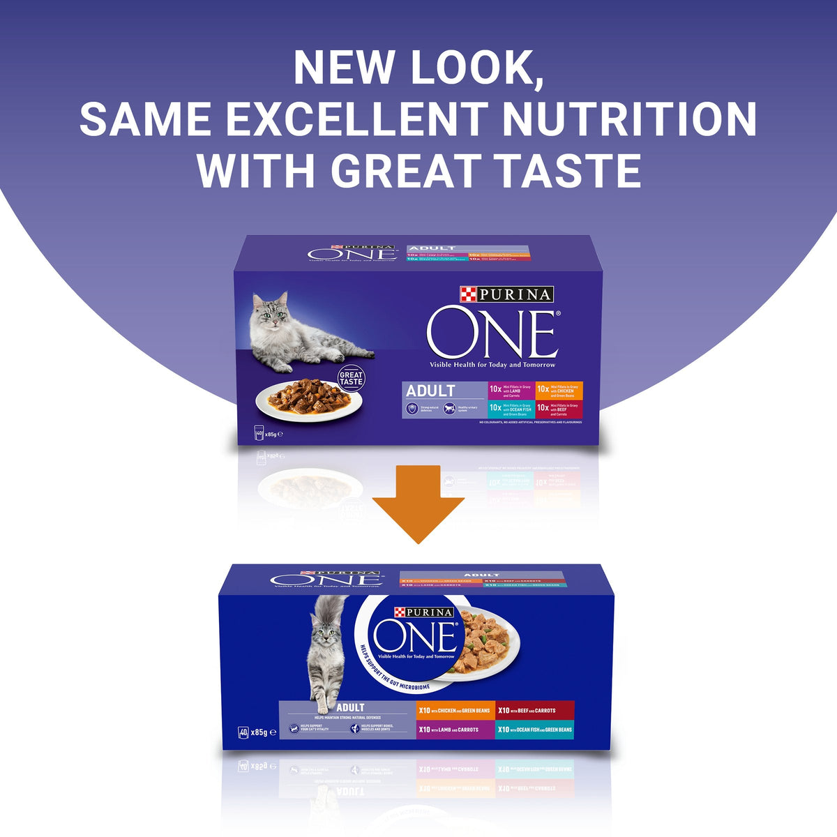 Purina One Mini Fillets Mixed Selection in Gravy Wet Cat Food