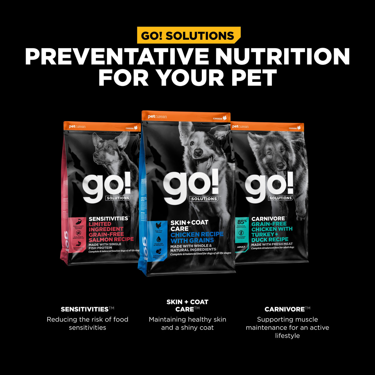 Go! Solutions Skin + Coat Care Chicken Recipe with Grains Dry Dog Food