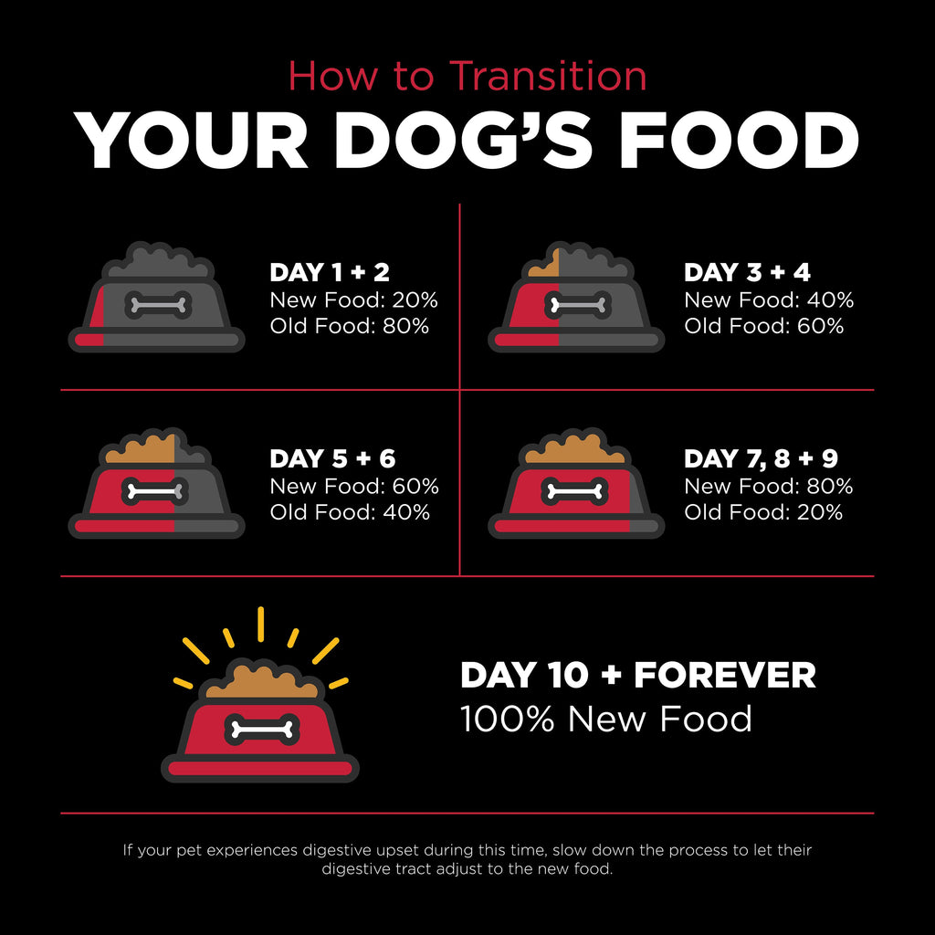 Go! Solutions Skin + Coat Care Lamb Recipe with Grains Dry Dog Food