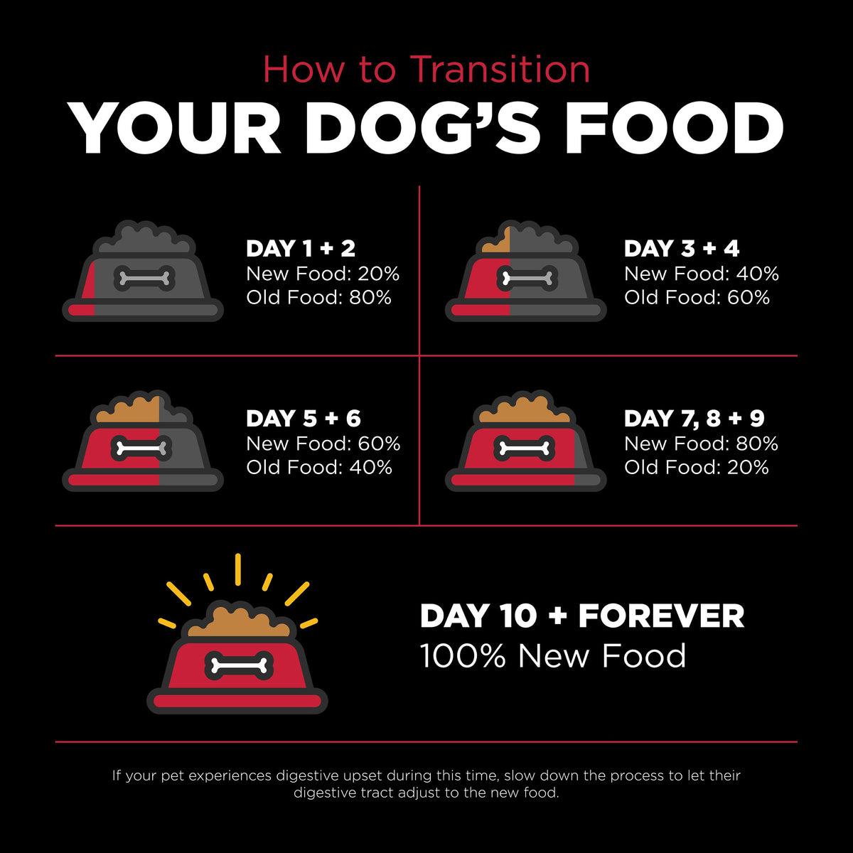 Go! Solutions Skin + Coat Care Lamb Recipe with Grains Dry Dog Food