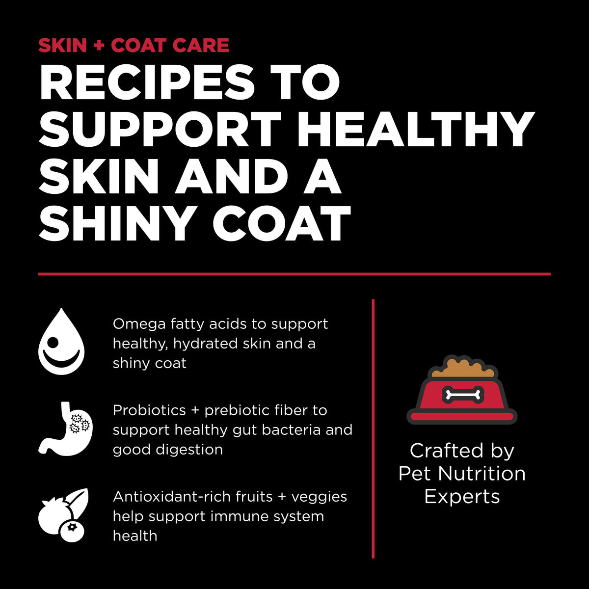 Go! Solutions Skin + Coat Care Lamb Recipe with Grains Dry Dog Food