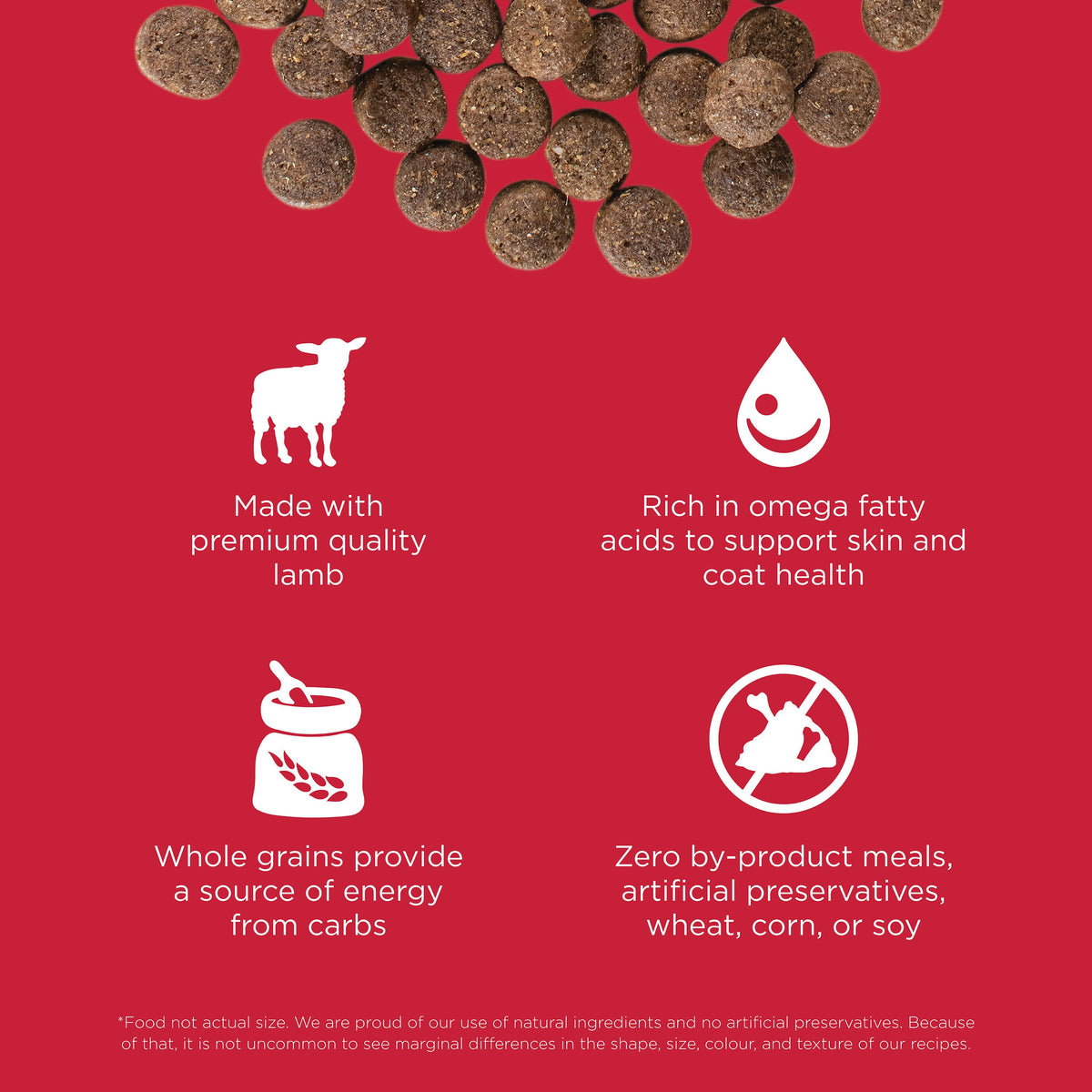 Go! Solutions Skin + Coat Care Lamb Recipe with Grains Dry Dog Food