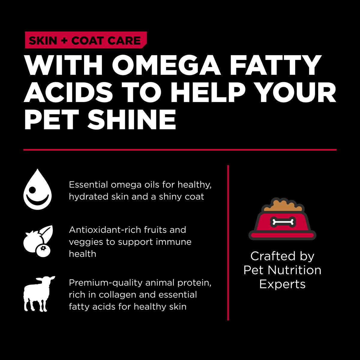 Go! Solutions Skin + Coat Care Lamb Recipe with Grains Dry Dog Food