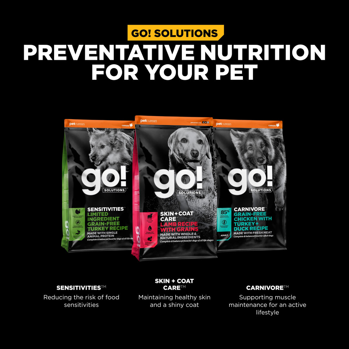 Go! Solutions Skin + Coat Care Lamb Recipe with Grains Dry Dog Food