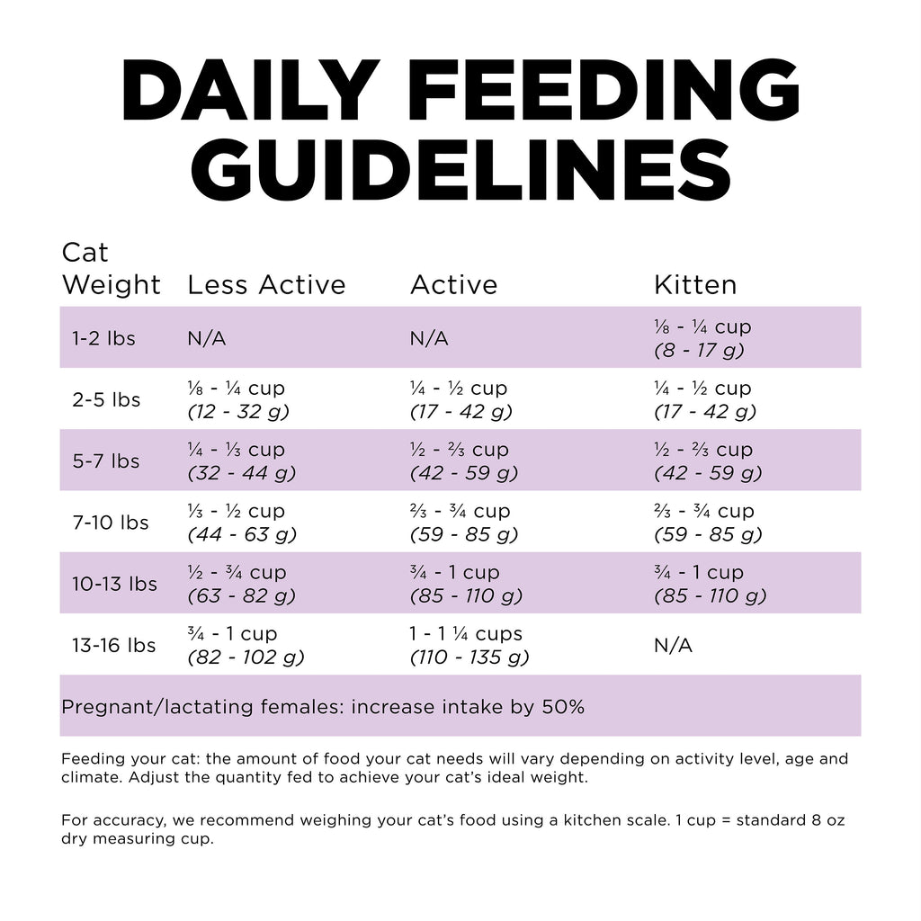 Go! Solutions Carnivore Grain Free Chicken, Turkey + Duck Recipe Dry Cat Food
