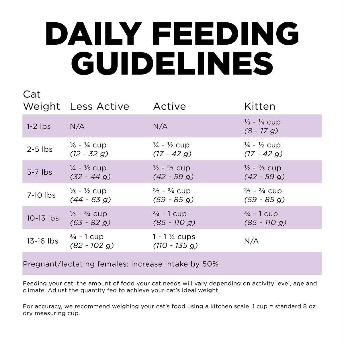 Go! Solutions Carnivore Grain Free Chicken, Turkey + Duck Recipe Dry Cat Food