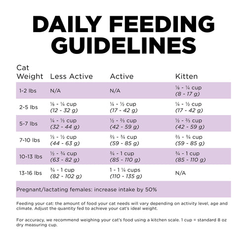 Go! Solutions Carnivore Grain Free Chicken, Turkey + Duck Recipe Dry Cat Food