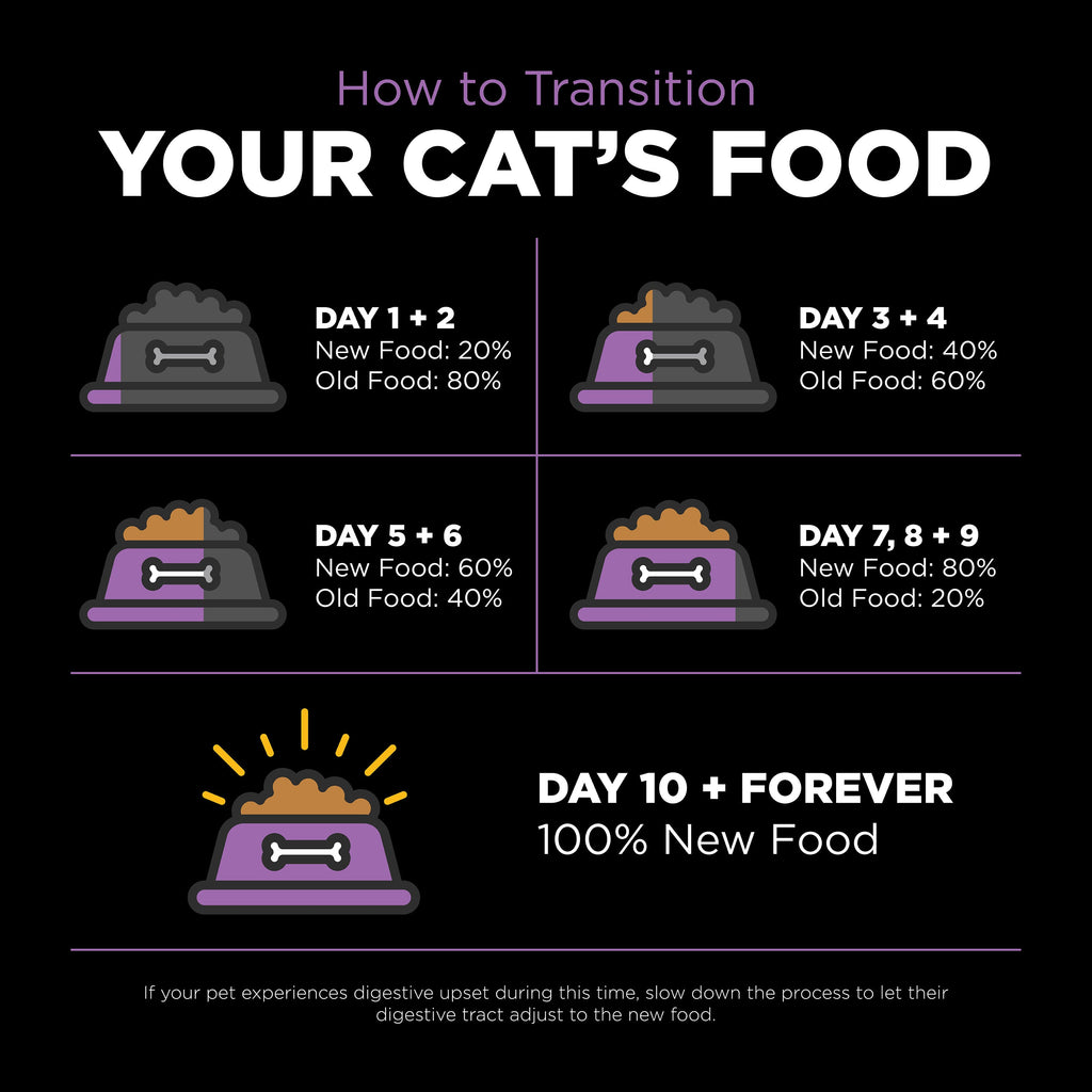 Go! Solutions Carnivore Grain Free Chicken, Turkey + Duck Recipe Dry Cat Food